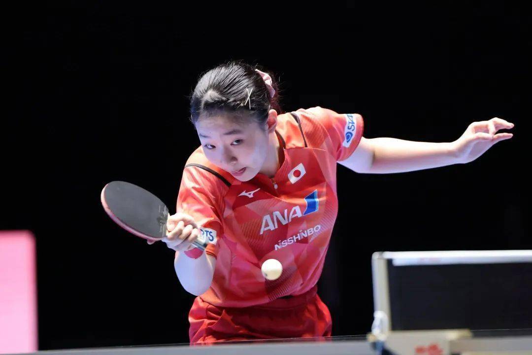 羽毛球男单 羽毛球男单